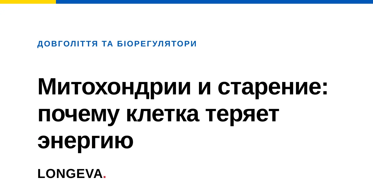 Митохондрии и старение: почему клетка теряет энергию