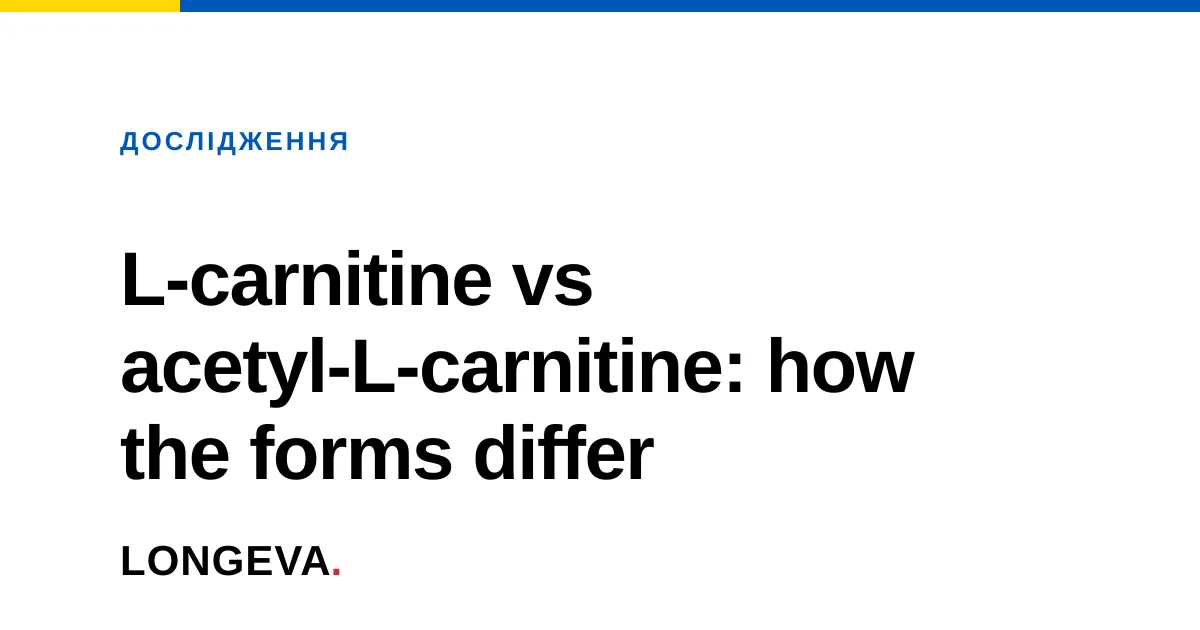 L-carnitine vs acetyl-L-carnitine: how the forms differ
