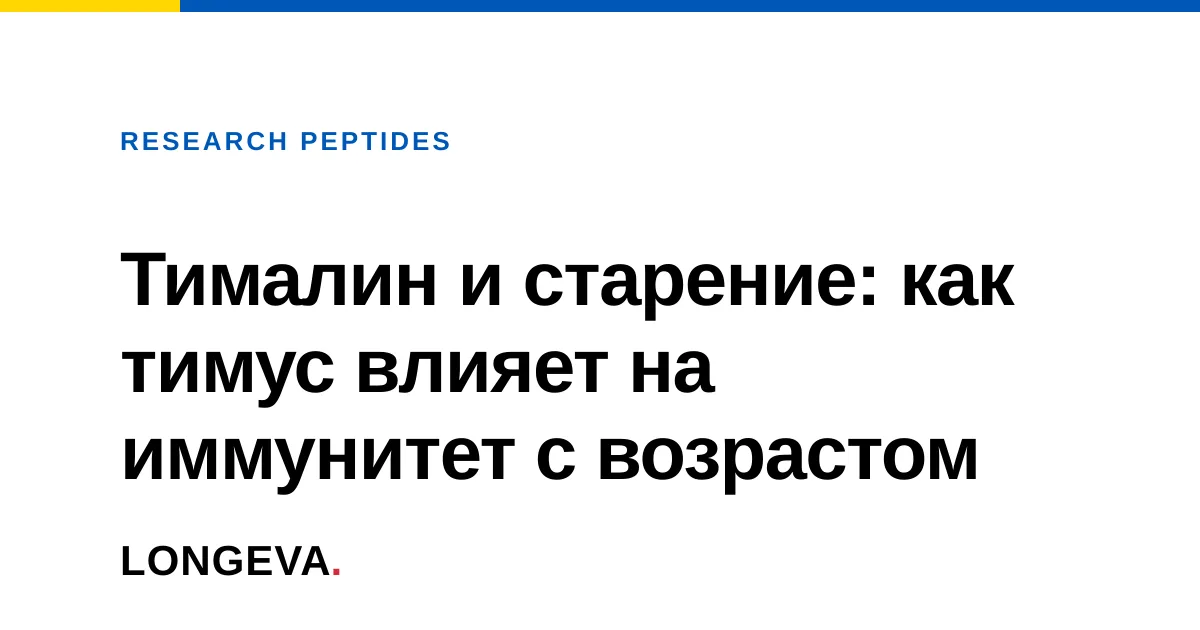 Тималин и старение: как тимус влияет на иммунитет с возрастом