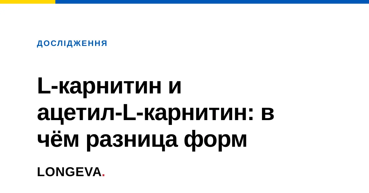 L-карнитин и ацетил-L-карнитин: в чём разница форм