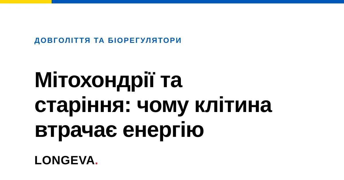 Мітохондрії та старіння: чому клітина втрачає енергію