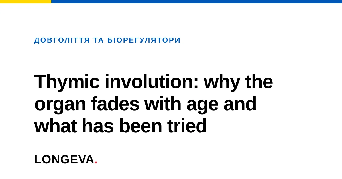 Thymic involution: why the organ fades with age and what has been tried