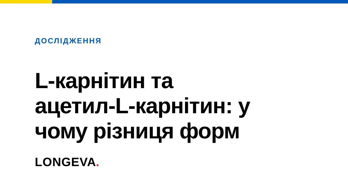 L-карнітин та ацетил-L-карнітин: у чому різниця форм