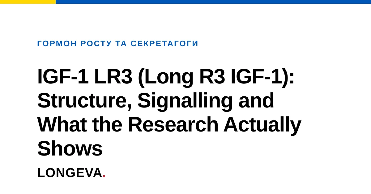 IGF-1 LR3 (Long R3 IGF-1): Structure, Signalling and What the Research Actually Shows