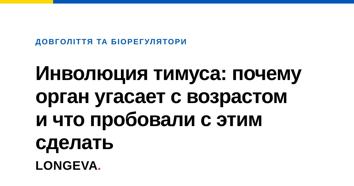 Инволюция тимуса: почему орган угасает с возрастом и что пробовали с этим сделать