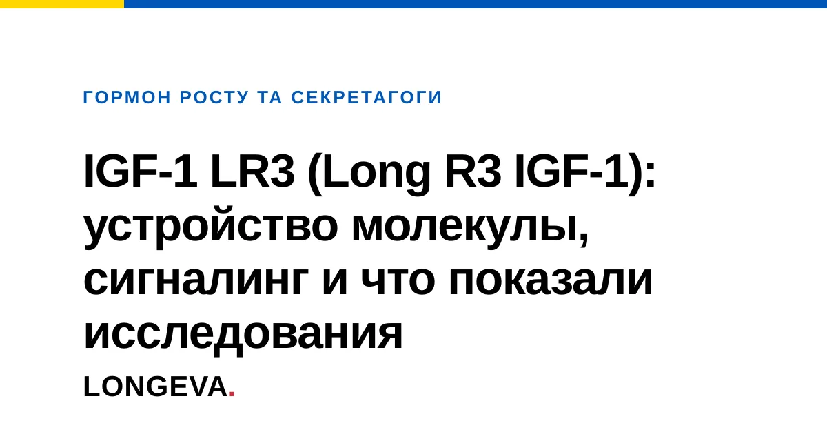 IGF-1 LR3 (Long R3 IGF-1): устройство молекулы, сигналинг и что показали исследования