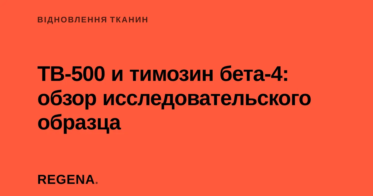 TB-500 и тимозин бета-4: обзор исследовательского образца