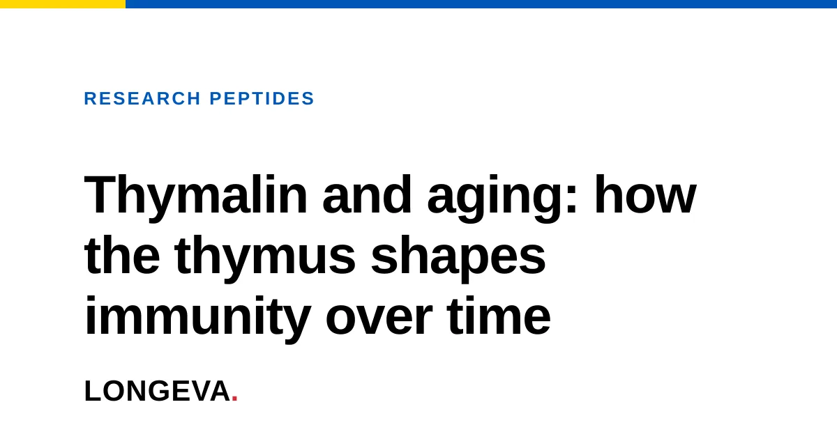 Thymalin and aging: how the thymus shapes immunity over time