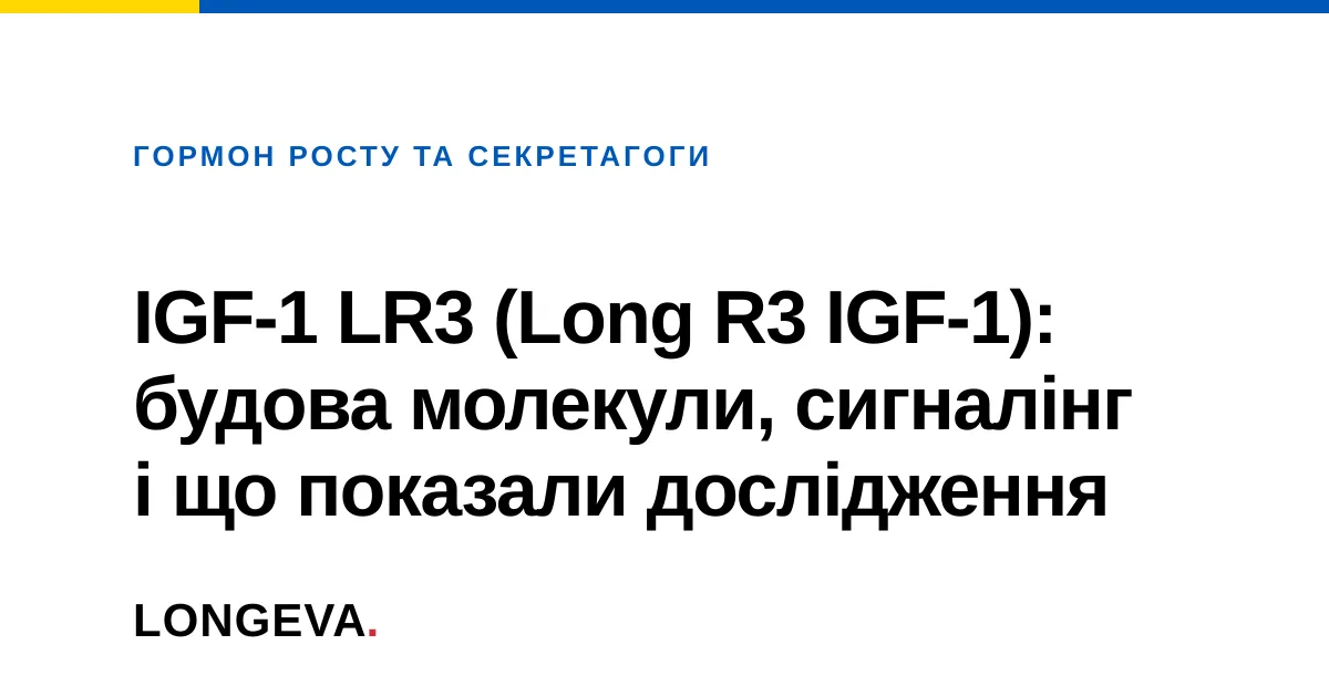 IGF-1 LR3 (Long R3 IGF-1): будова молекули, сигналінг і що показали дослідження