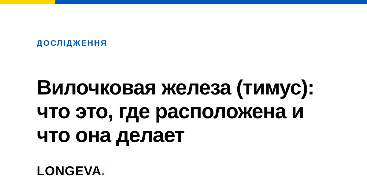 Вилочковая железа (тимус): что это, где расположена и что она делает
