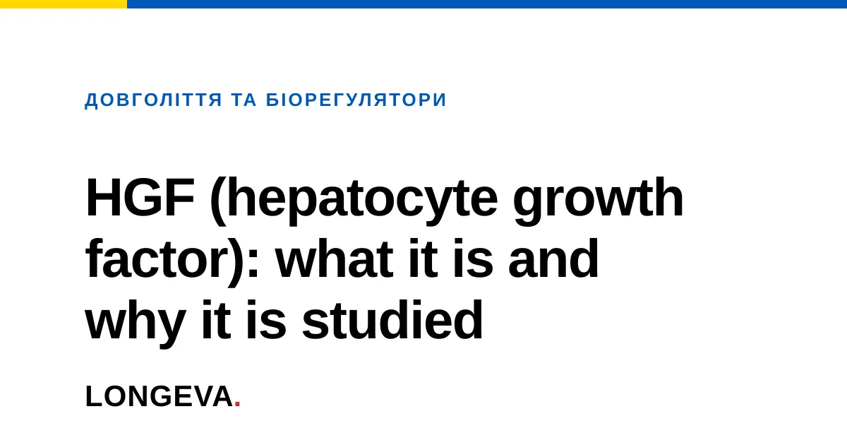 HGF (hepatocyte growth factor): what it is and why it is studied