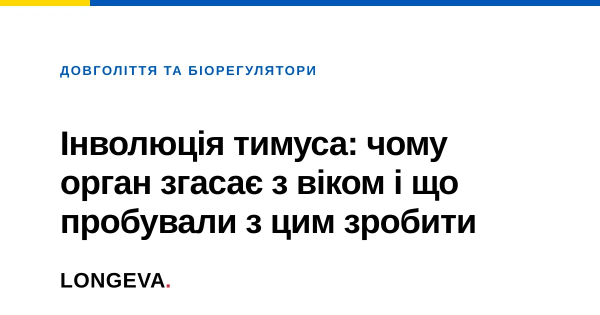 Інволюція тимуса: чому орган згасає з віком і що пробували з цим зробити