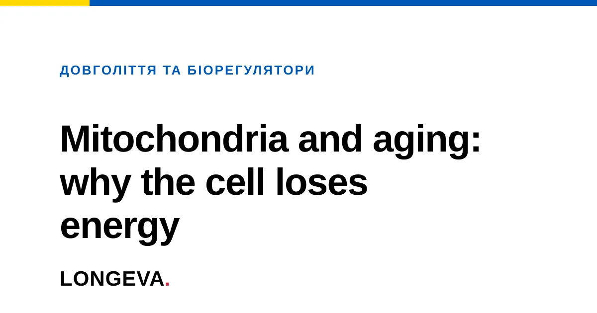 Mitochondria and aging: why the cell loses energy