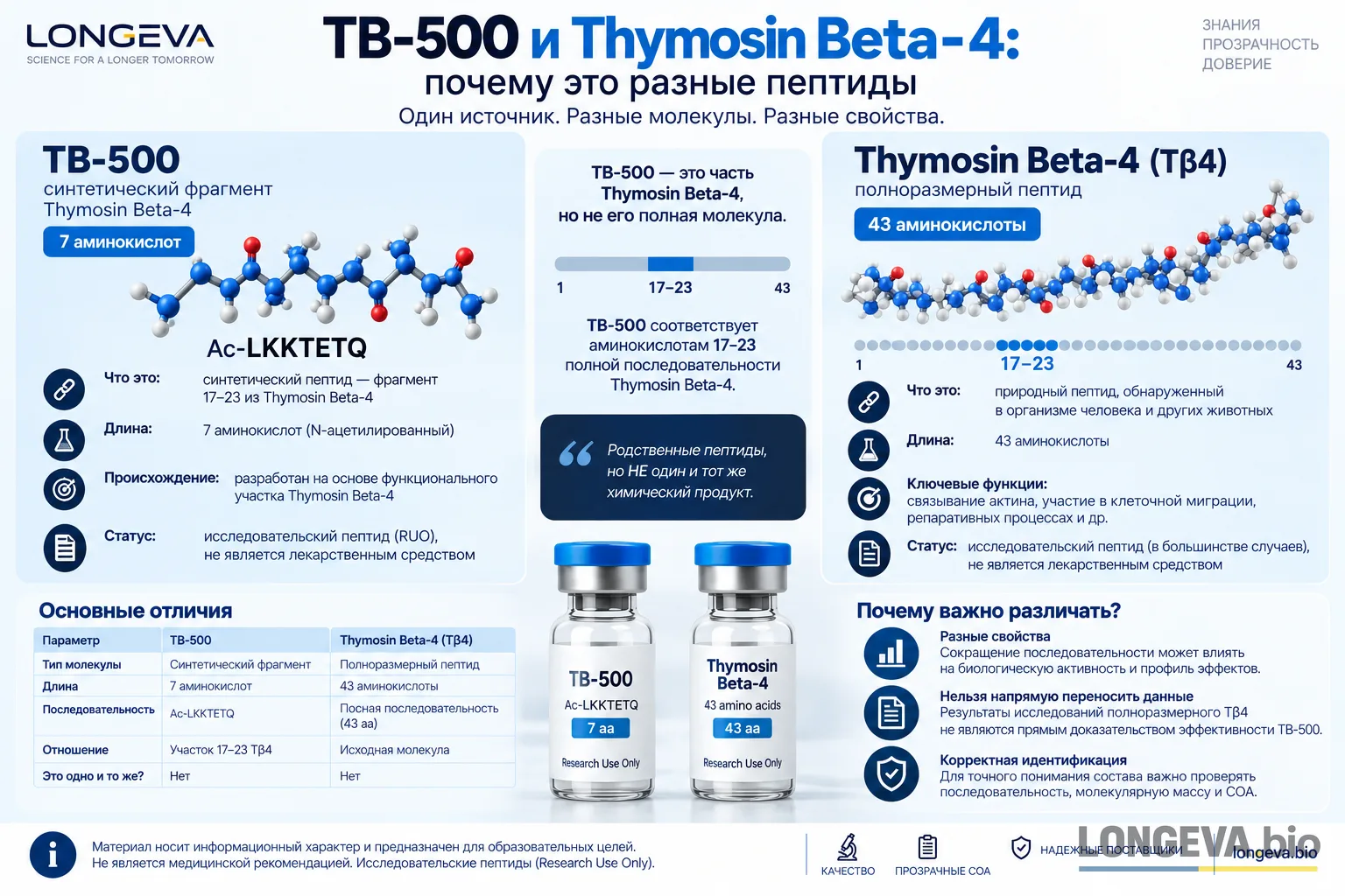 TB-500 и Thymosin Beta-4: почему это разные пептиды