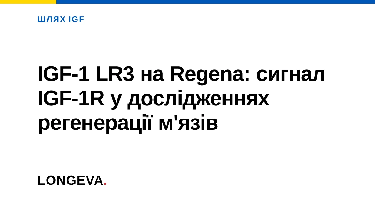 IGF-1 LR3 на Regena: сигнал IGF-1R у дослідженнях регенерації м'язів